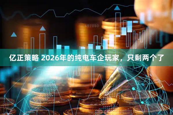 亿正策略 2026年的纯电车企玩家，只剩两个了
